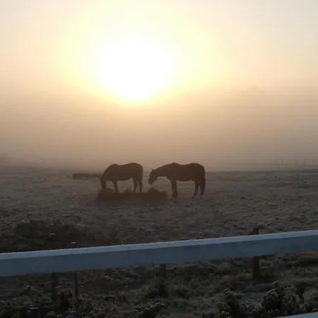 Rustique Avec 2 Chambres, Nature, Animaux Admis, Wifi Et Parking - Fr-1-622-78 Сasa de vacaciones Vihiers