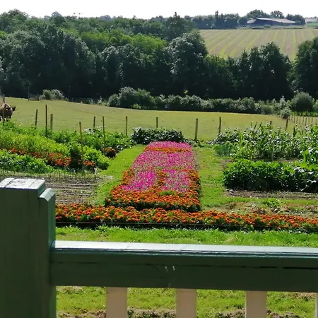 Rustique Avec 2 Chambres, Nature, Animaux Admis, Wifi Et Parking - Fr-1-622-78 Vihiers