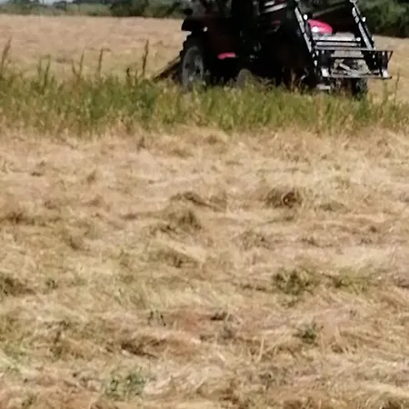 Ferienhaus Rustique Avec 2 Chambres, Nature, Animaux Admis, Wifi Et Parking - Fr-1-622-78 Vihiers