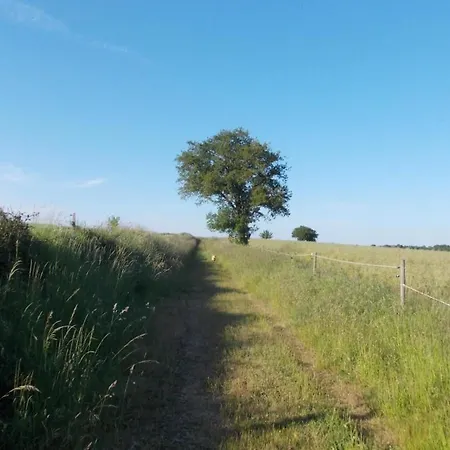 Rustique Avec 2 Chambres, Nature, Animaux Admis, Wifi Et Parking - Fr-1-622-78 * Vihiers