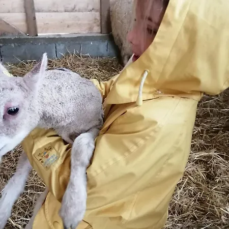 Rustique Avec 2 Chambres, Nature, Animaux Admis, Wifi Et Parking - Fr-1-622-78 Vihiers