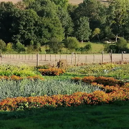 Rustique Avec 2 Chambres, Nature, Animaux Admis, Wifi Et Parking - Fr-1-622-78 Vihiers