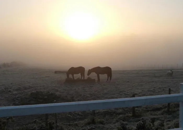 Rustique Avec 2 Chambres, Nature, Animaux Admis, Wifi Et Parking - Fr-1-622-78 Dom wakacyjny Vihiers