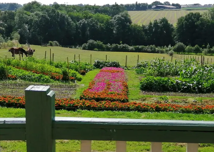 Rustique Avec 2 Chambres, Nature, Animaux Admis, Wifi Et Parking - Fr-1-622-78 Vihiers