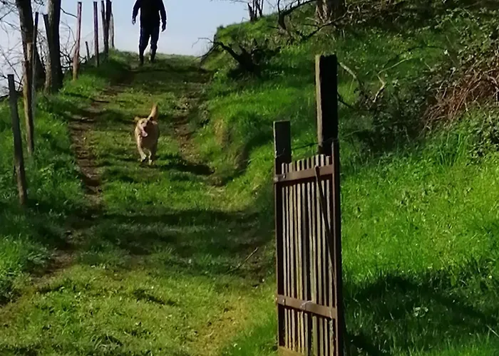 Сasa de vacaciones Rustique Avec 2 Chambres, Nature, Animaux Admis, Wifi Et Parking - Fr-1-622-78