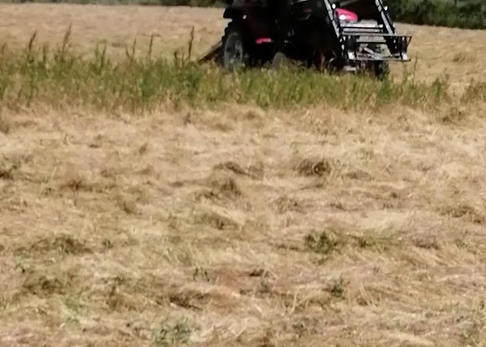 Dom wakacyjny Rustique Avec 2 Chambres, Nature, Animaux Admis, Wifi Et Parking - Fr-1-622-78 Vihiers