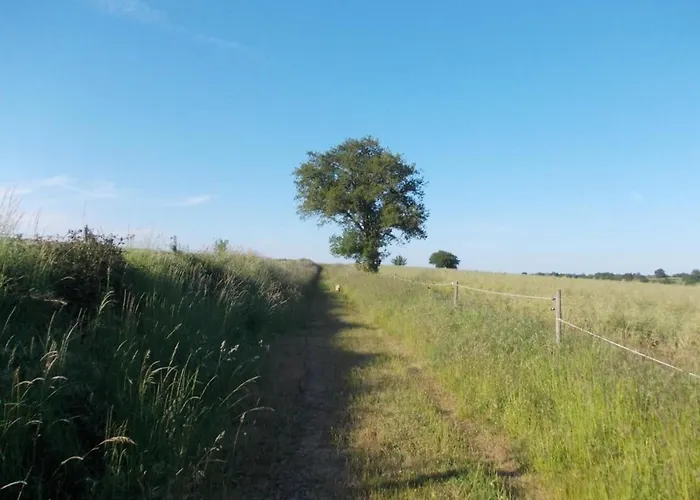 Rustique Avec 2 Chambres, Nature, Animaux Admis, Wifi Et Parking - Fr-1-622-78 * Vihiers