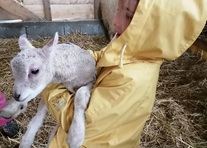 Rustique Avec 2 Chambres, Nature, Animaux Admis, Wifi Et Parking - Fr-1-622-78 Vihiers